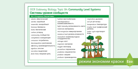 Biology Topic B3 Organism Level Word Mat with Russian translation