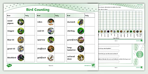 Garden Bird Sightings Bar Chart Template