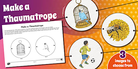 Behaviour Discussion Interactive Multiple Choice Quiz