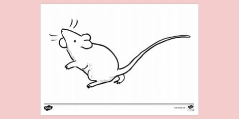 Mouse Reading Colouring Mouse Reading a Book Colouring Sheet