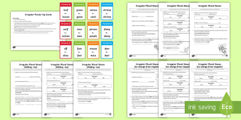 Irregular Plural Nouns Differentiated Worksheets