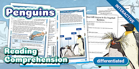 Spring CfE Second Level Interactive Reading Comprehensions Pack