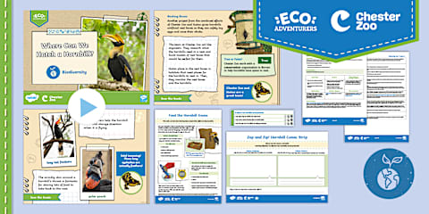 Science: Biodiversity: Birds: Migration Year 3 Lesson 4