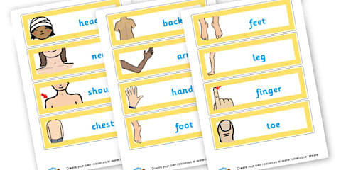 EYFS Parts of the Body Flash Cards