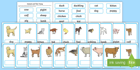 Spring Animals and Their Babies Sorting Worksheet