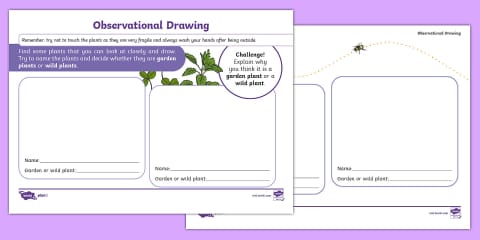 How Plants Change Over Time Mind Map