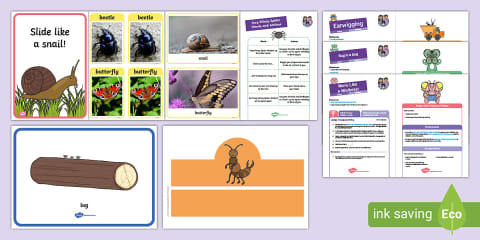 Twinkl Phonics 'Vets' - Level 1 Week 17 Pack