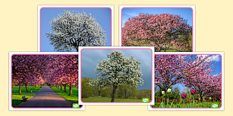 Spring Photo Posters