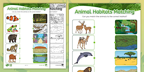Animals and Their Habitats Matching Activity