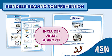 Autumn Reading Comprehension with Visual Supports