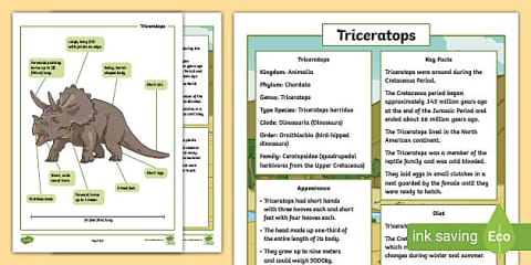 Dinosaur Fact File Examples Dinosaur Fact File Pack