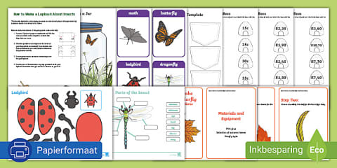 Grade 3 Life Skills Term 2 Insects Fact File Template (CAPS Aligned)