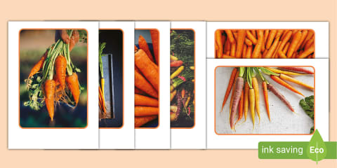 Carrot Poster