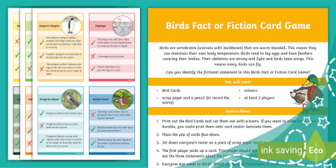 Birds of Prey Fact File Template