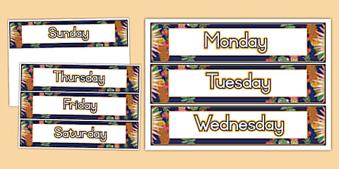 Fynbos-Themed Classroom Duties Display Poster