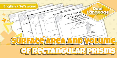 Surface Area and Volume of Rectangular Prisms Activity Sheet