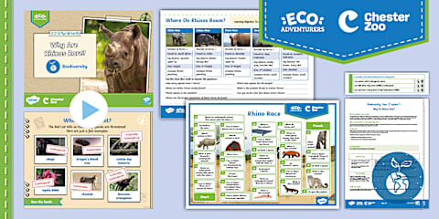Science: Biodiversity: Birds: Migration Year 3 Lesson 4
