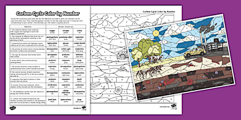 Sixth Grade Nitrogen Cycle Color by Number