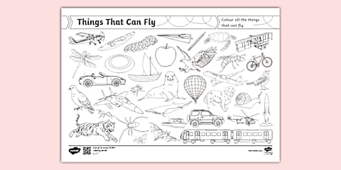 ESL Things That Fly Activity Sheet [Kids, A1]
