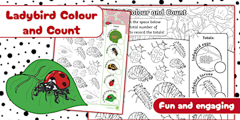 Ladybird Counting to 20 Worksheet
