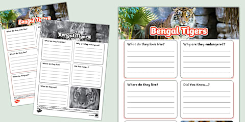 Endangered Species Day Bengal Tiger Differentiated Fact File