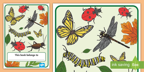 Leaf Insects Eyfs EYFS Editable Minibeast-Themed Learning Journey Front Cover