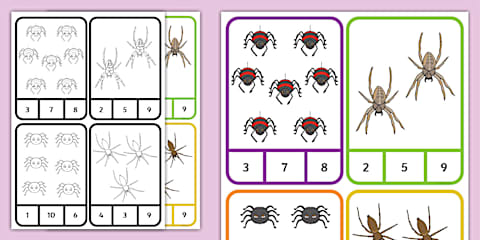 Spider Do a Dot Activity
