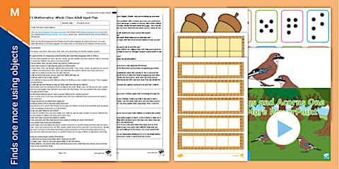 EYFS Maths: Sort and Compare Natural Materials Group Activity Adult ...