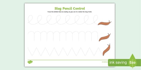Slug Flash Card.pdf Parts Of A Slug Labelling Activity