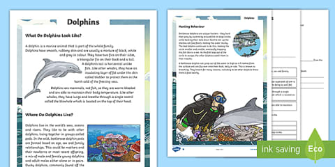 Platypus Behavioural Adaptations Reading Comprehension