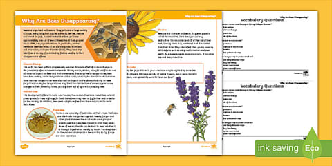 Honeybee Fact File Template