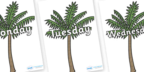 Weekly Days Tree National Tree Week Whole School Assembly Pack