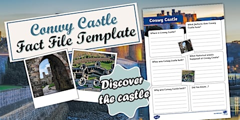 Koala Story Map Template
