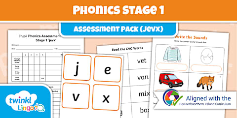 Phonics Stage 1 Assessment Pack (mocfr)
