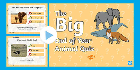 General Knowledge PowerPoint Quiz