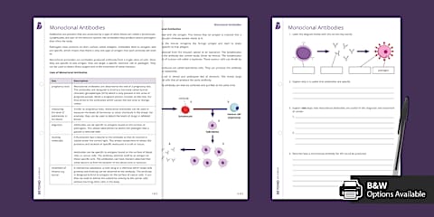GCSE Monoclonal Antibodies Practice Exam Questions