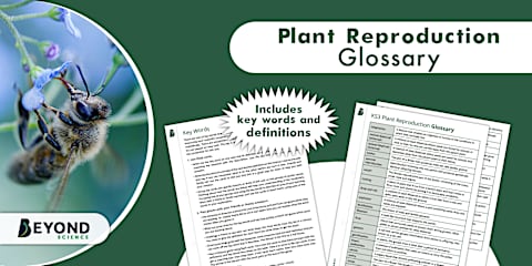 KS3 Ecosystems and Interdependence Glossary