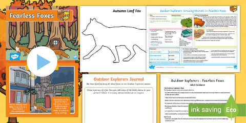 Outdoor Explorers - EYLF Summer - Lesson 2: Lovely Leaves Lesson Pack