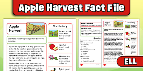 Chefs Reading Passage Comprehension Worksheet for ELL