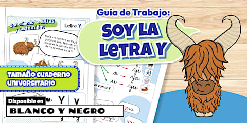 Póster: Familia de la Letra Y