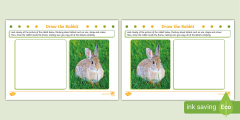 EYFS Draw a Rabbit Pencil Control Activity