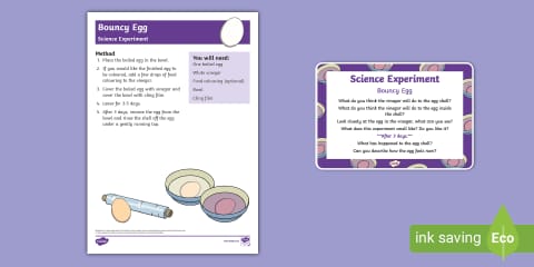 Bouncy Egg Science Experiment and Prompt Card Pack