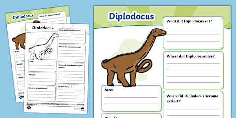 Dinosaur Fact File Examples Dinosaur Fact File Template