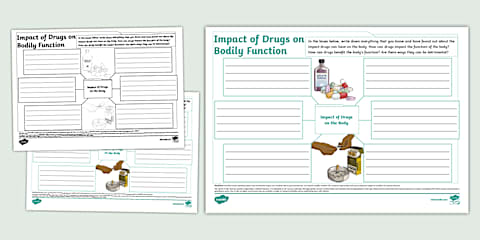 Impact of Drugs and Alcohol on the Body Fact File Template