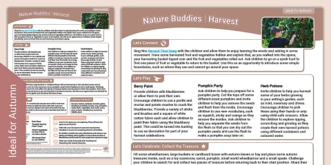 EYFS Nature Buddies Outdoor Learning: Birds