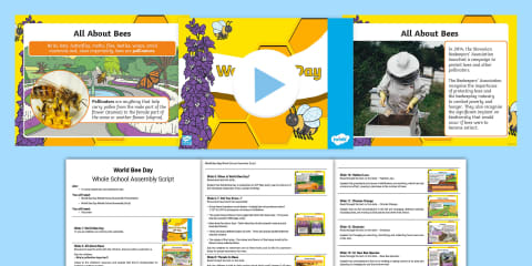 World Bee Day PowerPoint