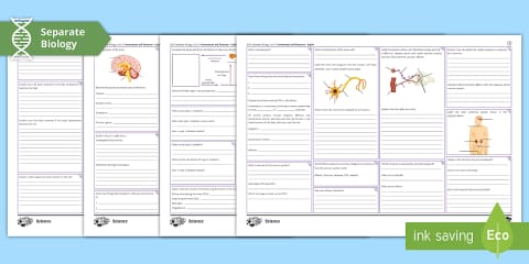 AQA Biology (Separate) Unit 5 Homeostasis and Response Test