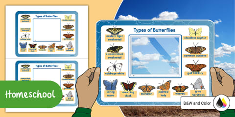 Kindergarten Portable Adjectives Identification Frame Viewer