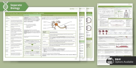 AQA GCSE Biology 5: Homeostasis and Response Higher Knowledge Organiser ...