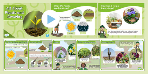 Plants and Growing Activity Pack